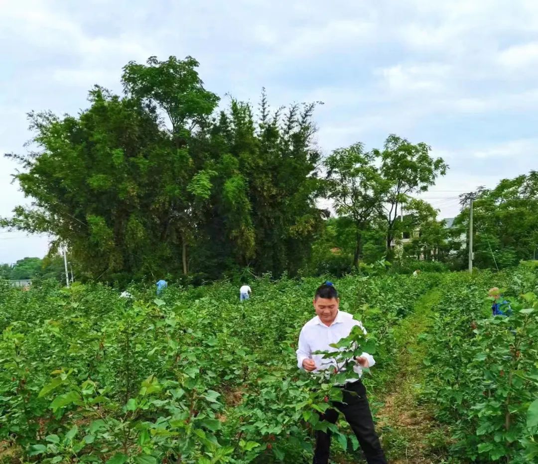 【代表風采】鐘軍元：厚植為民情懷 踐行為民初心